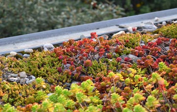 the cost of Selsmore green roof installation