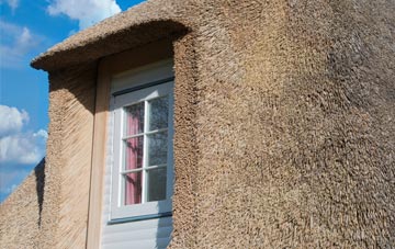 Selsmore thatch roof disadvantages